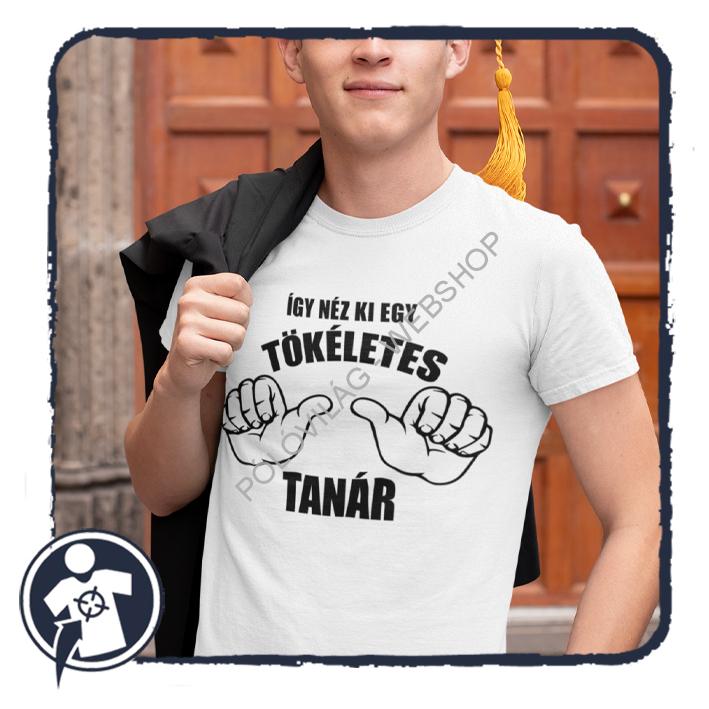 Így néz ki egy TÖKÉLETES TANÁR - vicces feliratos póló